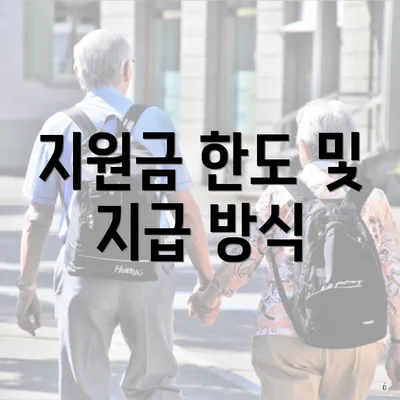 지원금 한도 및 지급 방식