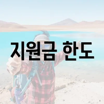 지원금 한도