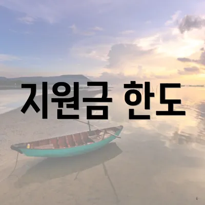 지원금 한도