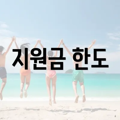 지원금 한도