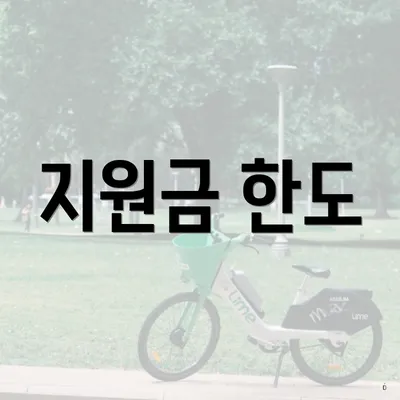 지원금 한도