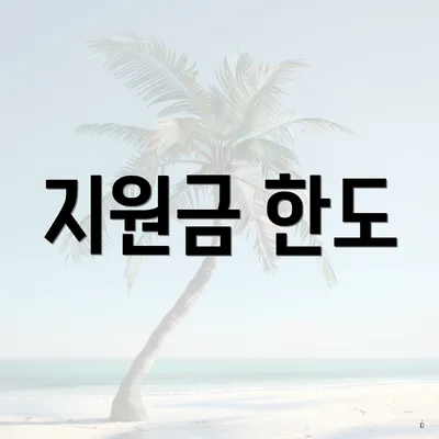 지원금 한도