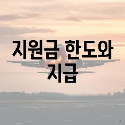 지원금 한도와 지급
