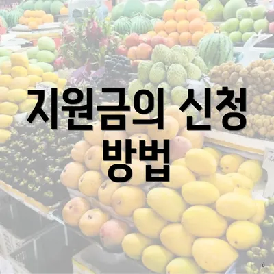지원금의 신청 방법