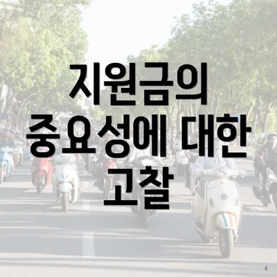지원금의 중요성에 대한 고찰