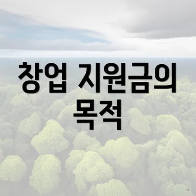 창업 지원금의 목적