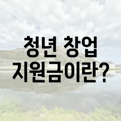 청년 창업 지원금이란?