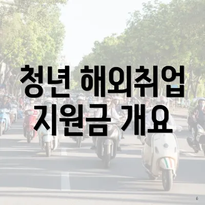 청년 해외취업 지원금 개요
