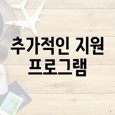 추가적인 지원 프로그램