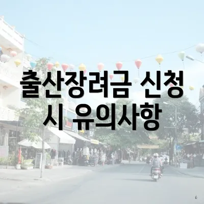 출산장려금 신청 시 유의사항