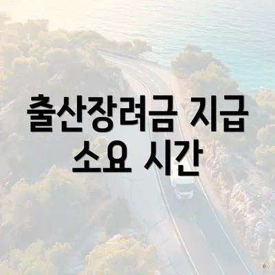 출산장려금 지급 소요 시간