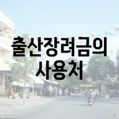 출산장려금의 사용처