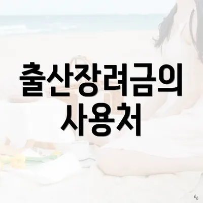 출산장려금의 사용처