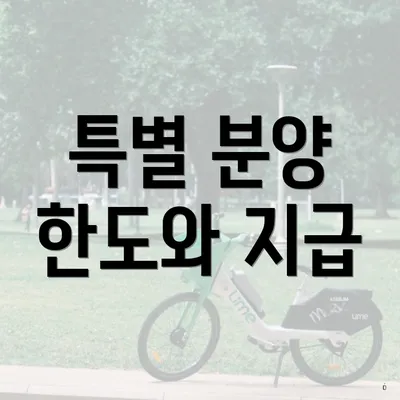 특별 분양 한도와 지급