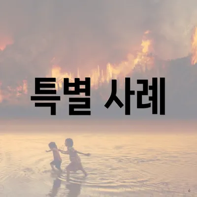 특별 사례