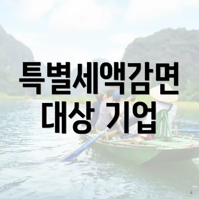 특별세액감면 대상 기업