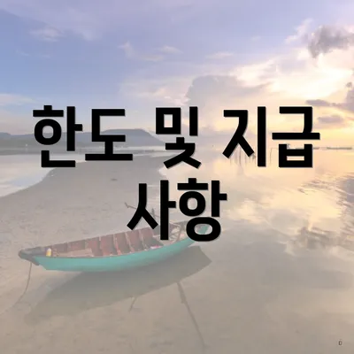 한도 및 지급 사항