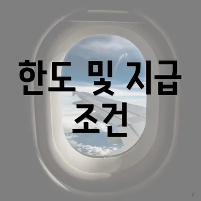 한도 및 지급 조건