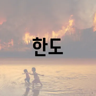 한도