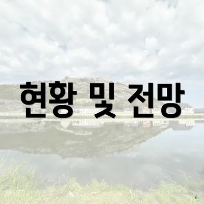 현황 및 전망