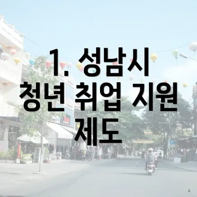 1. 성남시 청년 취업 지원 제도