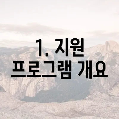 1. 지원 프로그램 개요