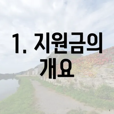 1. 지원금의 개요