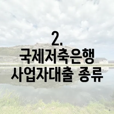 2. 국제저축은행 사업자대출 종류