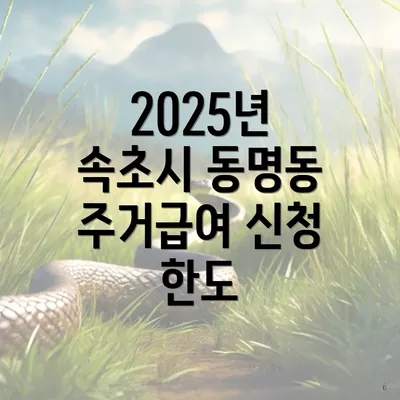 2025년 속초시 동명동 주거급여 신청 한도