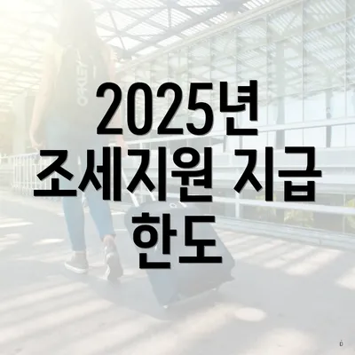 2025년 조세지원 지급 한도