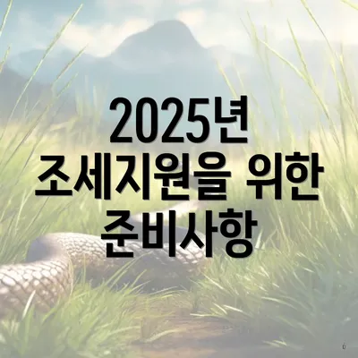 2025년 조세지원을 위한 준비사항