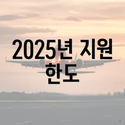 2025년 지원 한도