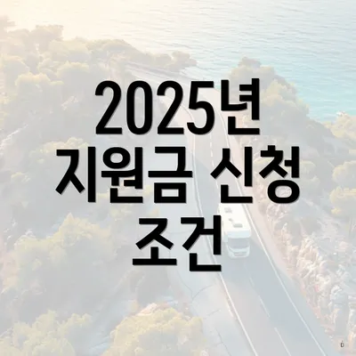 2025년 지원금 신청 조건