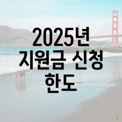 2025년 지원금 신청 한도