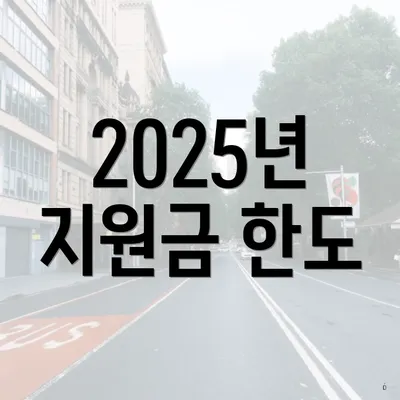 2025년 지원금 한도