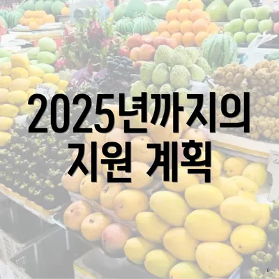 2025년까지의 지원 계획