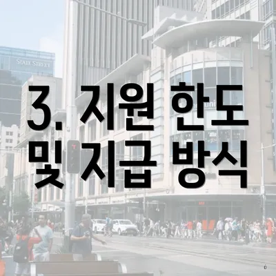 3. 지원 한도 및 지급 방식