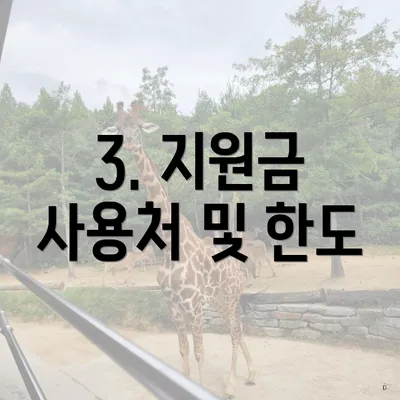 3. 지원금 사용처 및 한도