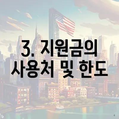 3. 지원금의 사용처 및 한도