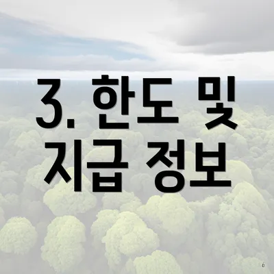 3. 한도 및 지급 정보