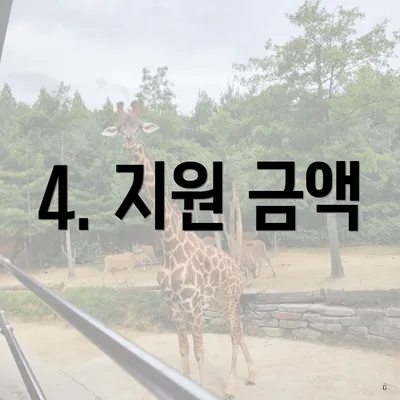 4. 지원 금액