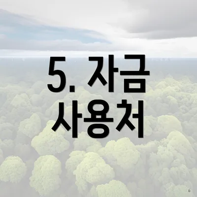 5. 자금 사용처
