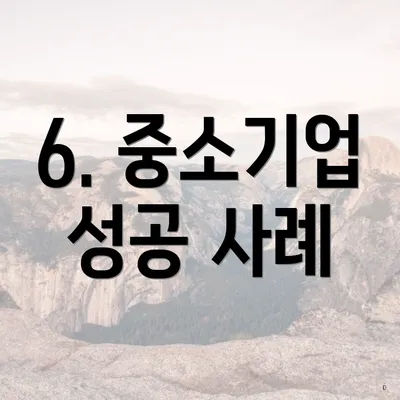 6. 중소기업 성공 사례