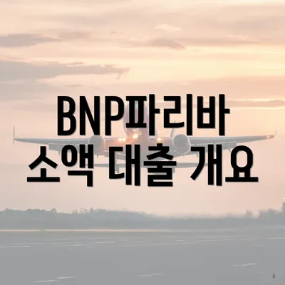 BNP파리바 소액 대출 개요