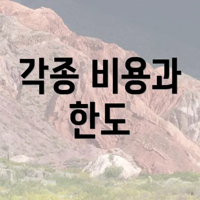 각종 비용과 한도