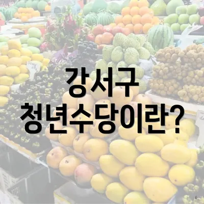강서구 청년수당이란?
