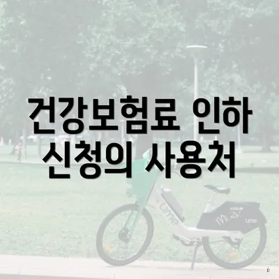건강보험료 인하 신청의 사용처