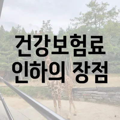 건강보험료 인하의 장점