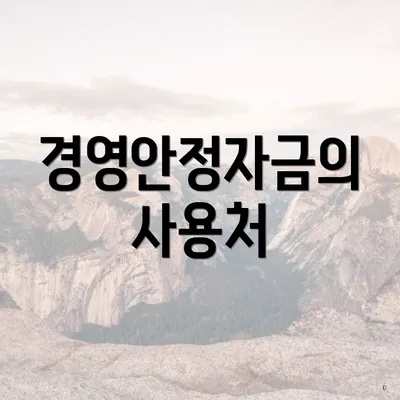 경영안정자금의 사용처
