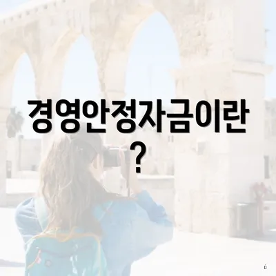 경영안정자금이란?